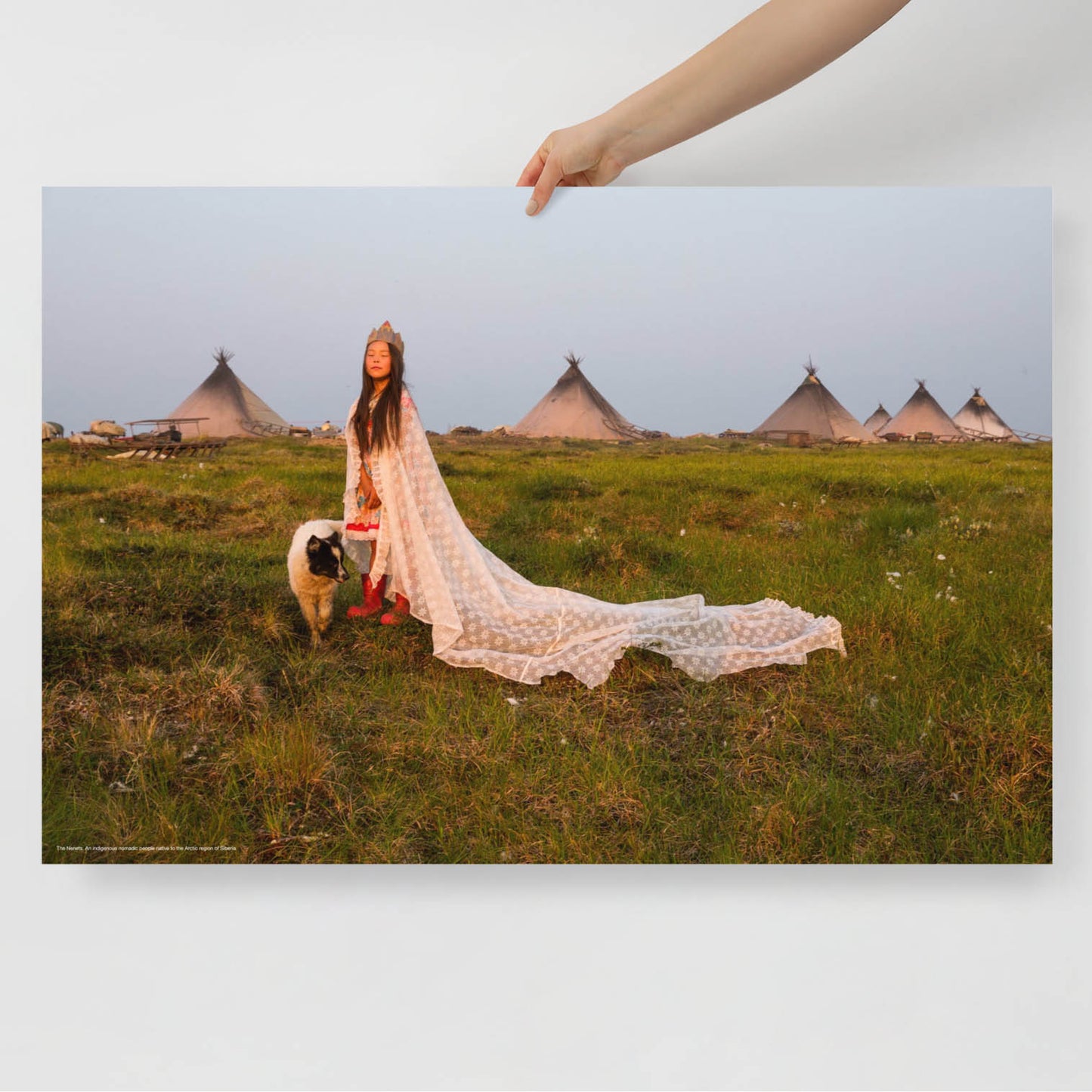 Rare photo of young Nenets bride with dog at sunset, traditional chum tents in background Siberian indigenous people poster. From www.sovisual.art