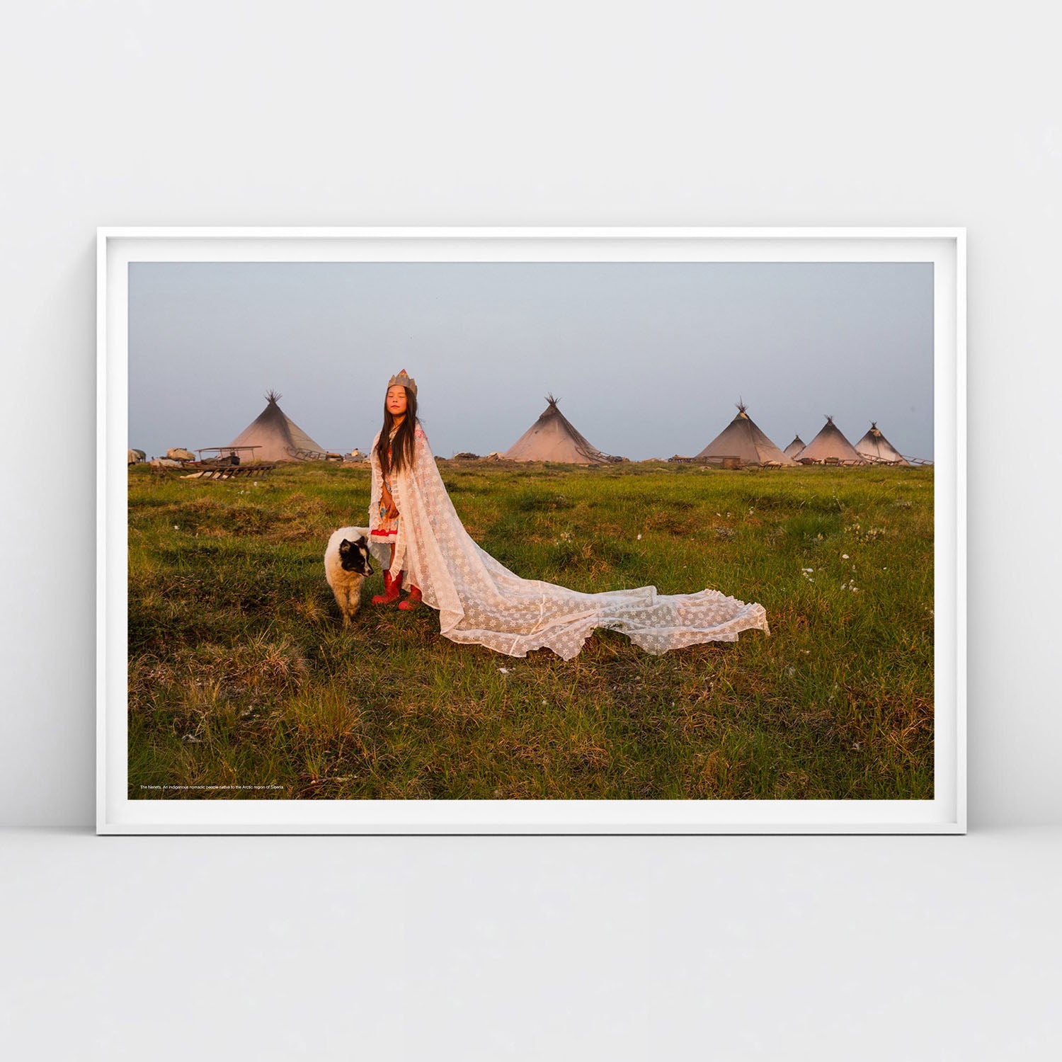 Rare photo of young Nenets bride with dog at sunset, traditional chum tents in background Siberian indigenous people poster. From www.sovisual.art