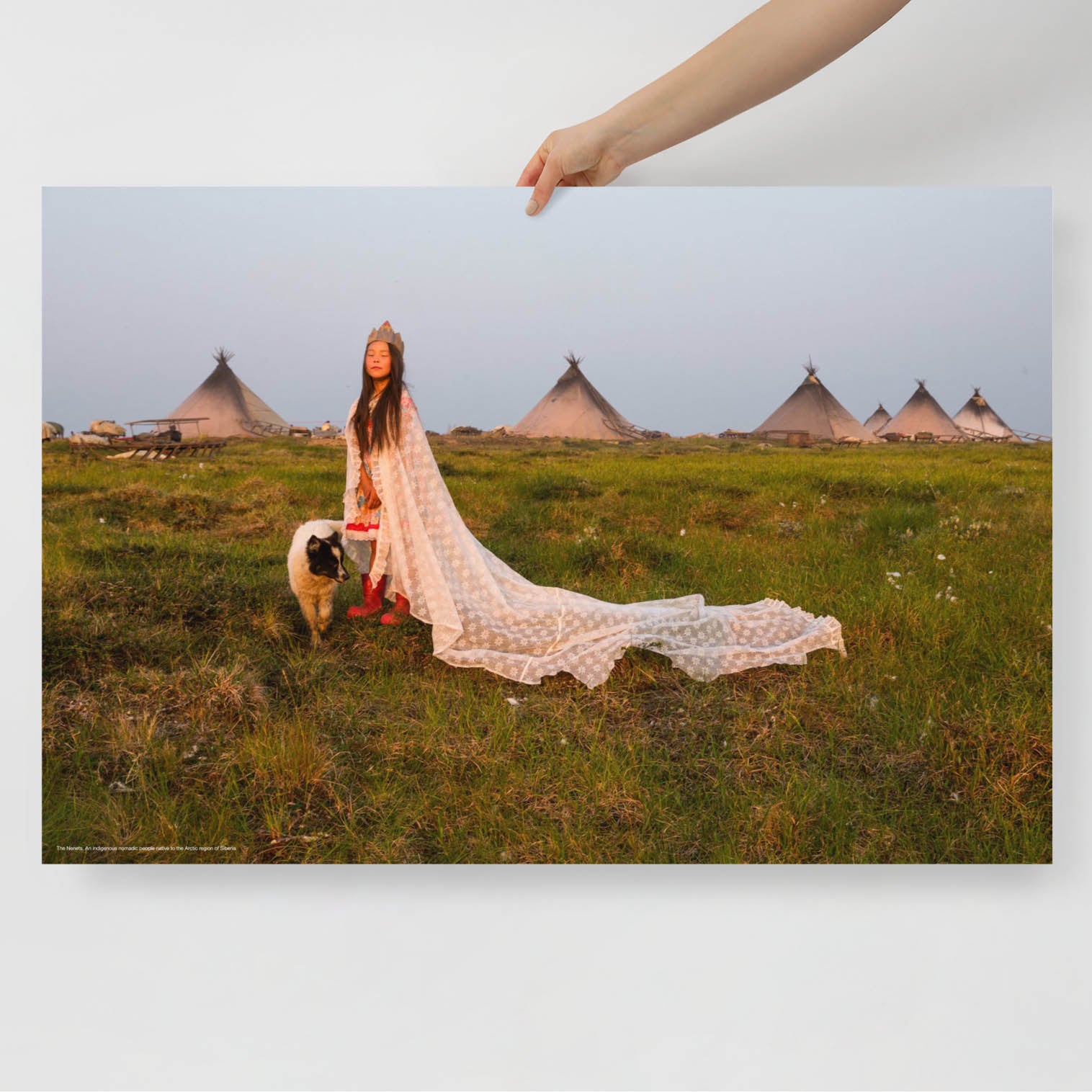 Rare photo of young Nenets bride with dog at sunset, traditional chum tents in background Siberian indigenous people poster. From www.sovisual.art