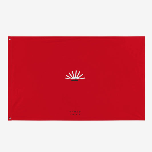 Timur Novikov "Aurora" (1988) large flag, 61″ × 38″, rare Soviet avant-garde artwork. High-resolution print, exclusive to Soviet Visual.